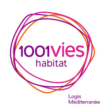 1001 vies